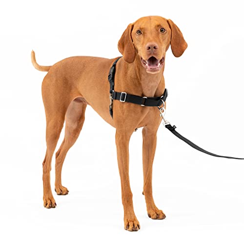 PetSafe Easy Walk-Geschirr, Anti-Zieh-Hundegeschirr, Verringert Würgen und Husten, Mit 1,8 M Leine, Größe M, Schwarz von PetSafe
