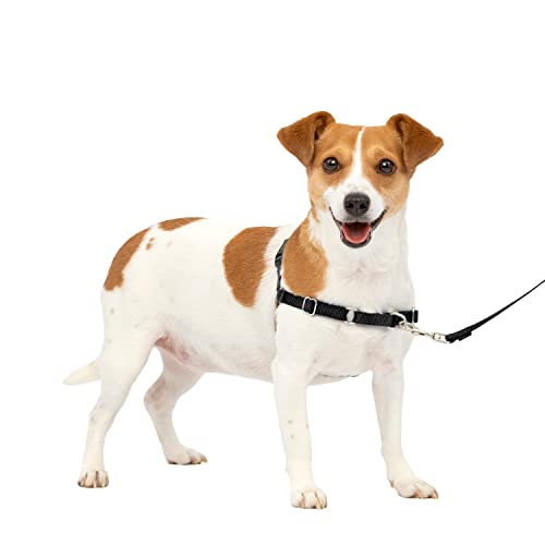 PetSafe Easy Walk-Geschirr, Anti-Zieh-Hundegeschirr, Verringert Würgen und Husten, Mit 1,8 M Leine, Größe S, Schwarz PetSafe Easy Walk-Geschirr, Anti-Zieh-Hundegeschirr, Verringert Würgen und Husten, Mit 1,8 M Leine, Größe S, Schwarz von PetSafe