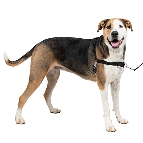 PetSafe Easy Walk-Geschirr, Anti-Zieh-Hundegeschirr, Verringert Würgen und Husten, Mit 1,8 M Leine, Größe XL, Schwarz von PetSafe