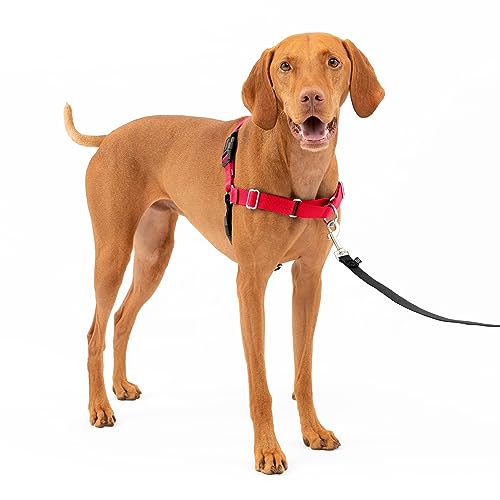 Easy Walk Harness Red Medium by Easy Walk Harness Red Medium by von PetSafe