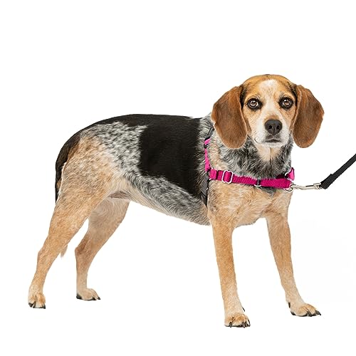 PetSafe Easy Walk Hundegeschirr. PetSafe Easy Walk Hundegeschirr. von PetSafe