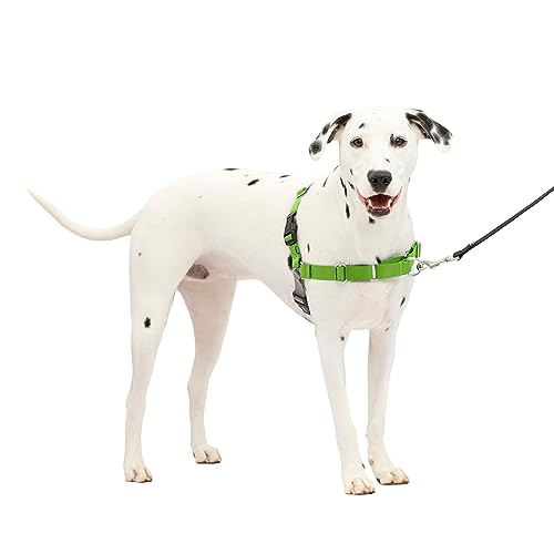 PetSafe Easy Walk Hundegeschirr von PetSafe