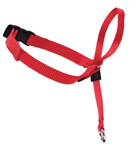 PetSafe Hundehalfter L, Easy Walk Kopfgeschirr rot, kein Ziehen oder Hochspringen, einfaches An-und Ausziehen, für große Hunde, erhältlich in 3 Größen und 2 Farben PetSafe Hundehalfter L, Easy Walk Kopfgeschirr rot, kein Ziehen oder Hochspringen, einfaches An-und Ausziehen, für große Hunde, erhältlich in 3 Größen und 2 Farben von PetSafe
