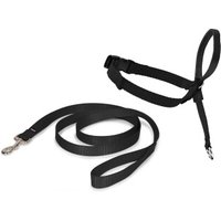 PetSafe Easy Walk Hundekopfhalfter M PetSafe Easy Walk Hundekopfhalfter M von PetSafe