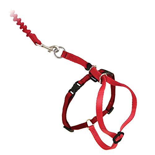 PetSafe Easy Walk Katzengeschirr, Mit elastischer Bungee-Leine, Für Spaziergänge mit Ihrer Katze, Größe M, Rot von PetSafe