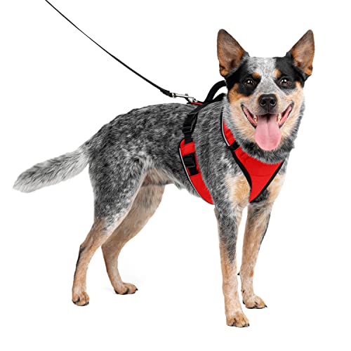 PetSafe EasySport Geschirr, Elastischer Halsausschnitt, Gepolsterter Griff, Für Hunde von 11,3 bis 22,5 kg, Größe M, Rot PetSafe EasySport Geschirr, Elastischer Halsausschnitt, Gepolsterter Griff, Für Hunde von 11,3 bis 22,5 kg, Größe M, Rot von PetSafe