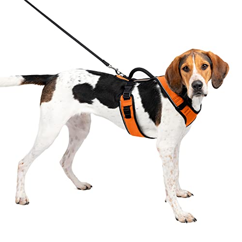 PetSafe EasySport Hundegeschirr, verstellbares, gepolstertes Hundegeschirr mit Kontrollgriff und reflektierenden Paspeln, von den Makers of The Easy Walk Geschirr Orange Groß von PetSafe