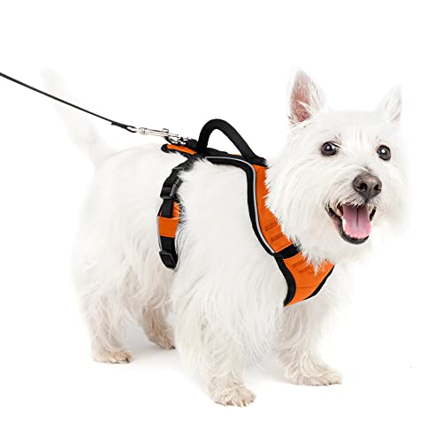 PetSafe EasySport Hundegeschirr, verstellbares, gepolstertes Hundegeschirr mit Kontrollgriff und reflektierenden Paspeln, von den Makers of The Easy Walk Geschirr Orange Small von PetSafe