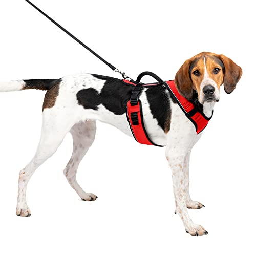 PetSafe EasySport Hundegeschirr - Verstellbares, gepolstertes Hundegeschirr mit Kontrollgriff und reflektierenden Paspeln - L, Rot PetSafe EasySport Hundegeschirr - Verstellbares, gepolstertes Hundegeschirr mit Kontrollgriff und reflektierenden Paspeln - L, Rot von PetSafe