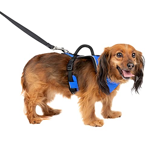 PetSafe Easysport Geschirr von PetSafe