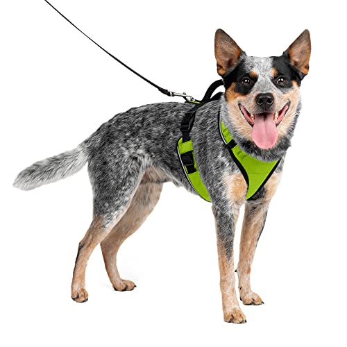 PetSafe EasySport Hundegeschirr, verstellbares, gepolstertes Hundegeschirr mit Kontrollgriff und reflektierenden Paspeln, Easy Walk Geschirrs, Apfel, Größe M von PetSafe