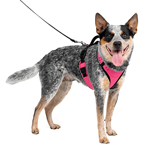 PetSafe Easysport Harness, Medium, Pink von PetSafe