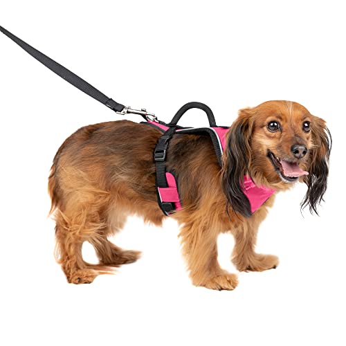 PetSafe Easysport Geschirr PetSafe Easysport Geschirr von PetSafe
