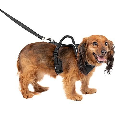 PetSafe Easysport Geschirr von PetSafe