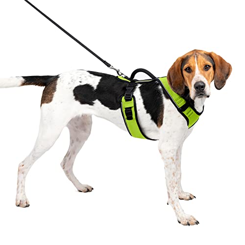 PetSafe Easysport Hundegeschirr, Größe L, Apfel von PetSafe