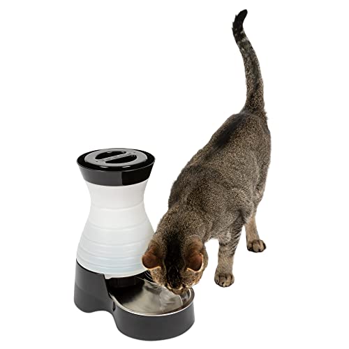 PetSafe Healthy Pet Wasserstation – Klein, 1,8 l Kapazität – Schwerkraft-Haustier-Wasserbrunnen, automatischer Katzenwasserbrunnen, Hundewasserbrunnen, Wasserspender – Abnehmbarer Edelstahlnapf im PetSafe Healthy Pet Wasserstation – Klein, 1,8 l Kapazität – Schwerkraft-Haustier-Wasserbrunnen, automatischer Katzenwasserbrunnen, Hundewasserbrunnen, Wasserspender – Abnehmbarer Edelstahlnapf im von PetSafe
