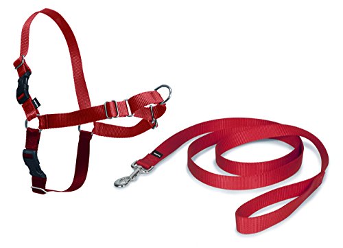 PetSafe Hundegeschirr S/M, Easy Walk Brustgeschirr rot, kein Ziehen, einfaches An-und Ausziehen, für kleine/mittelgroße Hunde, 1,8 m Leine, erhältlich in 7 Größen und 3 Farben PetSafe Hundegeschirr S/M, Easy Walk Brustgeschirr rot, kein Ziehen, einfaches An-und Ausziehen, für kleine/mittelgroße Hunde, 1,8 m Leine, erhältlich in 7 Größen und 3 Farben von PetSafe