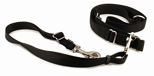 PetSafe Hundeleine, Schwarz PetSafe Hundeleine, Schwarz von PetSafe