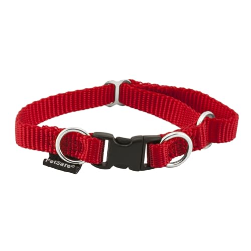 PetSafe KeepSafe strapazierfähiges Halsband für Hunde, patentierte Sicherheits-Schnalle, rot, Small, Polyester PetSafe KeepSafe strapazierfähiges Halsband für Hunde, patentierte Sicherheits-Schnalle, rot, Small, Polyester von PetSafe