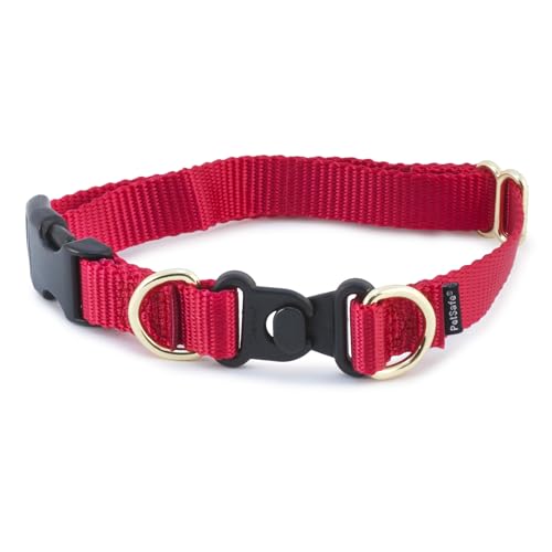 PetSafe KeepSafe strapazierfähiges Halsband von PetSafe