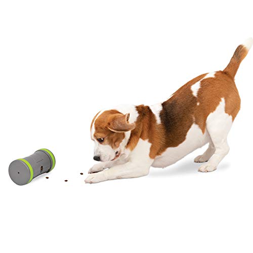 PetSafe Kibble Chase Interaktives Hundespielzeug – Slow Feeder – Elektronischer Leckerli-Spender – Perfekt für kleine, mittelgroße und große Hunde von PetSafe