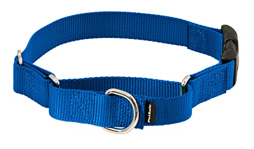 PetSafe Martingale-Hundehalsband mit Schnellverschluss-Schnalle, Größe S, 1,9 cm, Königsblau PetSafe Martingale-Hundehalsband mit Schnellverschluss-Schnalle, Größe S, 1,9 cm, Königsblau von PetSafe