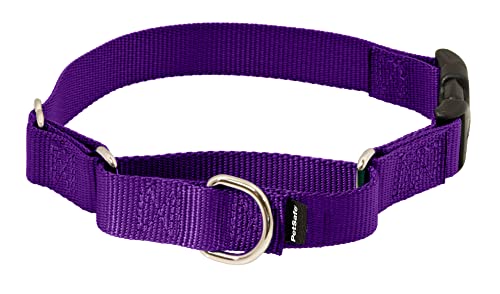 PetSafe Martingale Hundehalsband mit Schnellverschluss-Schnalle, zierlich, 1,9 cm, Dunkelviolett PetSafe Martingale Hundehalsband mit Schnellverschluss-Schnalle, zierlich, 1,9 cm, Dunkelviolett von PetSafe
