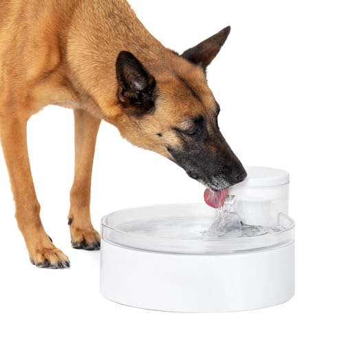 PetSafe Outlast Pumpless Water Fountain 3,628.7 g - Multi-Pet and Dog Water Fountain - Dishwasher Safe, Easy Assembly and Cleaning, Water Filter Included PetSafe Outlast Pumpless Water Fountain 3,628.7 g - Multi-Pet and Dog Water Fountain - Dishwasher Safe, Easy Assembly and Cleaning, Water Filter Included von PetSafe