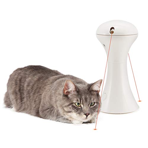 PetSafe Multilaserlicht-Spielzeug, Dualer Laser für Katzen, Größen alle Rassen , Integrierter 15-Minuten-Timer, 3 AA-Batterien nötig, Weiß von PetSafe