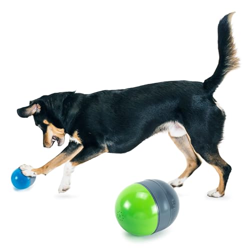 PetSafe Ricochet Elektronische Hundespielzeuge, Jagdspielzeuge mit Tonsignal, 3 AAA-Batterien erforderlich, 2 Stück von PetSafe