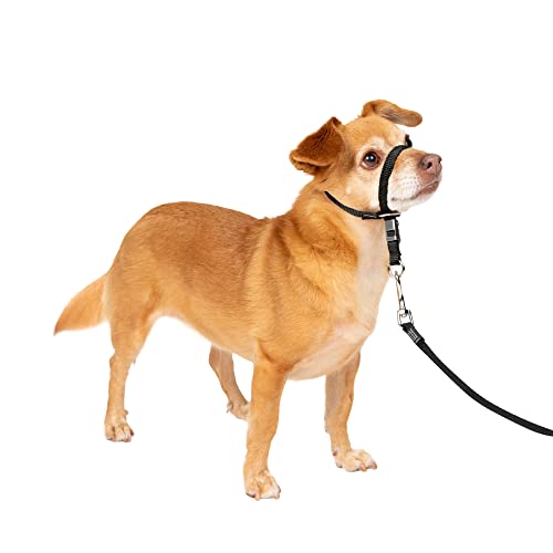PetSafe Sanfter Führer Halsband mit Trainings-DVD PetSafe Sanfter Führer Halsband mit Trainings-DVD von PetSafe