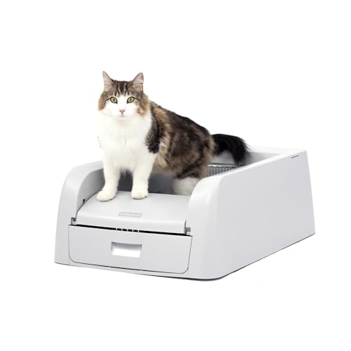 PetSafe ScoopFree Klumpen Selbstreinigende Katzentoilette für Klumpstreu - Hervorragende Geruchskontrolle - Nie Wieder Streu schaufeln - Für Einzel- und Mehrkatzenhaushalte von PetSafe