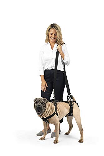 PetSafe CareLift Stützgeschirr – Ganzkörper-Hebehilfe mit Griff und Schultergurt – ideal für Haustiermobilität und ältere Hunde – bequemes, atmungsaktives Material – einfach zu verstellen – Größe M von PetSafe