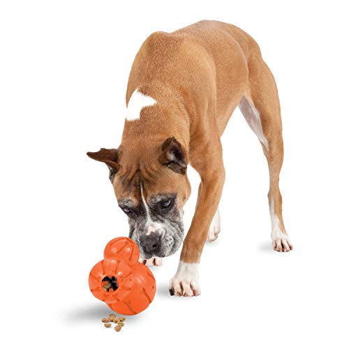 PetSafe Busy Buddy Barnacle Hundespielzeug, Kauspielzeug mit drei befüllbaren Leckerli-Kammern, Anpassbare Snackausgabe, Größe L von PetSafe