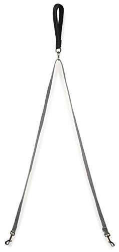 PetSafe Zwei Point Kontrolle Leine, 3/4 in. Breit, funktioniert 3 in1 Geschirre PetSafe Zwei Point Kontrolle Leine, 3/4 in. Breit, funktioniert 3 in1 Geschirre von PetSafe