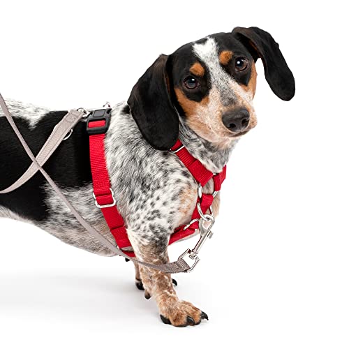 PetSafe groß Sure Fit Hundegeschirr von PetSafe