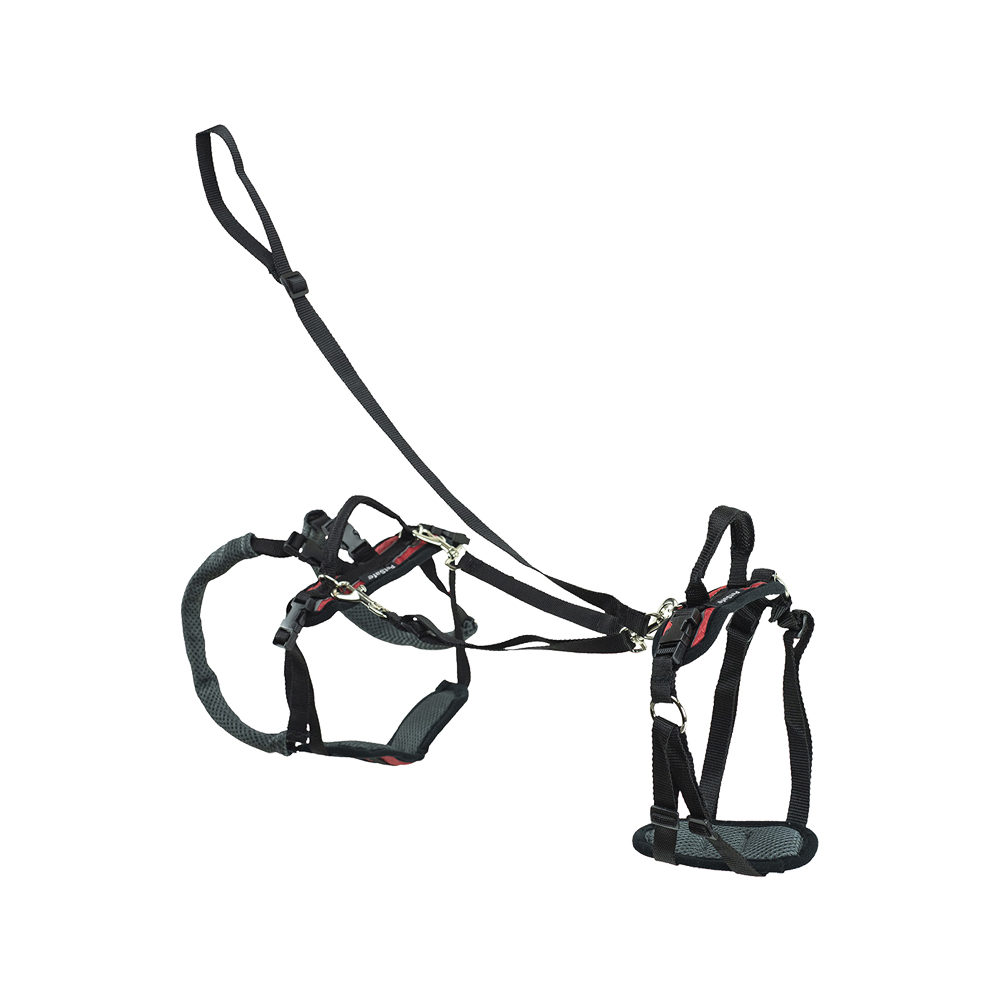 Petsafe Carelift Support Harness Complete - Large (Blau) von PetSafe