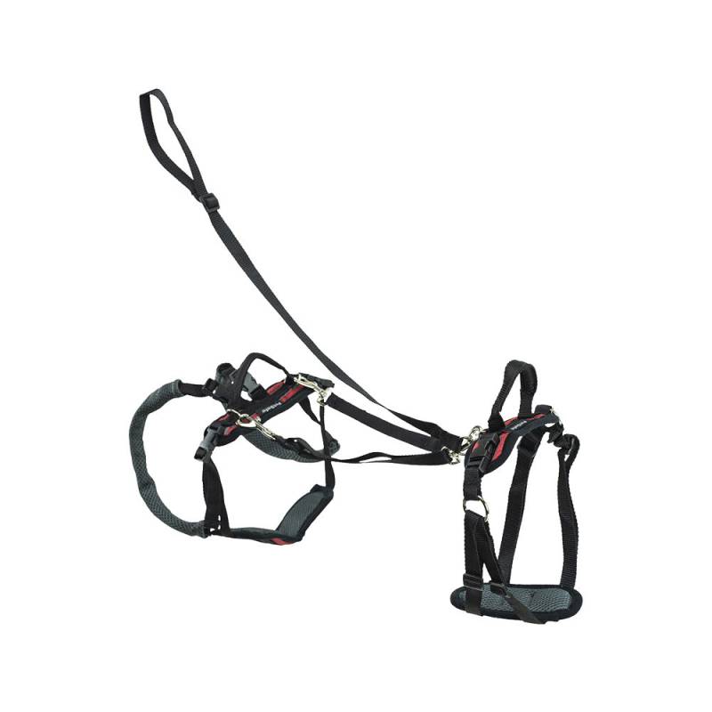 Petsafe Carelift Support Harness Complete - Large (Blau) von PetSafe