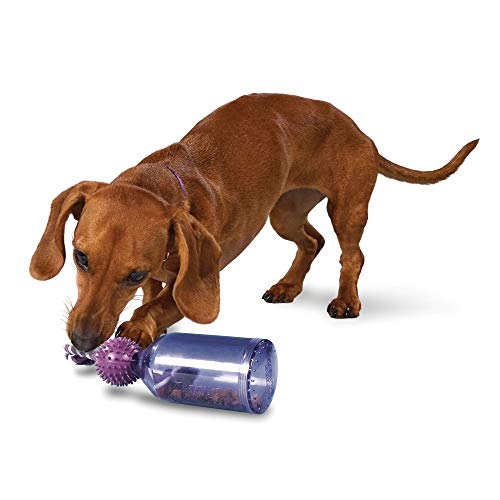 Premier BB TAJ S Busy Buddy Tug a-jug - S von PetSafe