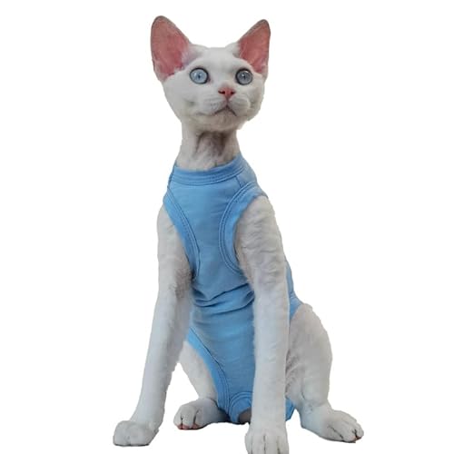 PetSmiler Katzenbody Nach OP - Body für Sphynx Katze, Dehnbare Kleidung Mit Bauchschutz, Pullover für Operation und Kastration, Blau M von PetSmiler