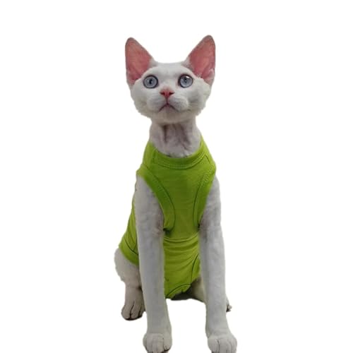 PetSmiler Katzenbody nach OP - Katzen Body Sphynx Katze Kleidung Dehnbare Katzenbody nach OP Kastration, Katzen Pullover mit Bauchschutz Tshirt für Katzen Operation, Kastrationsbody Grün L von PetSmiler
