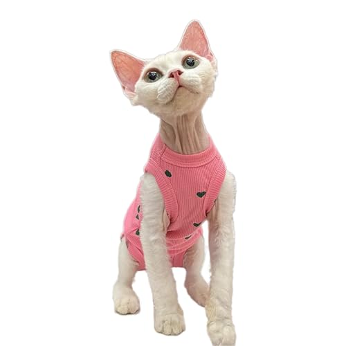 PetSmiler Katzenbody nach OP - Katzen Body Sphynx Katze Kleidung Dehnbare Katzenbody nach OP Kastration, Katzen Pullover mit Bauchschutz Tshirt für Katzen Operation, Kastrationsbody Rosa M von PetSmiler
