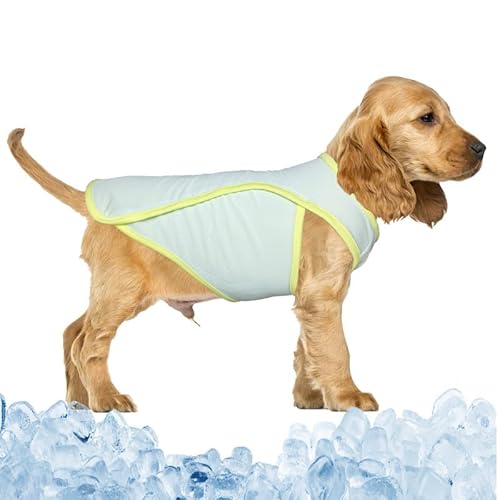 PetSmiler Kühlweste für Hunde - Kühlshirt Hund Schnell Trocknen Hunde Shirt für Sommer, Dehnbare Kuehl Shirt Hund Atmungsaktives Mesh Kuehl Tshirt für Kleine Mittelgroße Hunde (Grün M) von PetSmiler