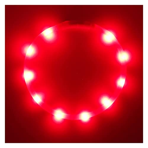 Extrahelles LED-Hundehalsband von PetSol in Rot – wiederaufladbar mit USB – für alle Hundegrößen (20cm bis 70cm) statisch oder blinkend – wetterfest, leicht zu reinigen, Sichtbarkeit, Garantie von PetSol