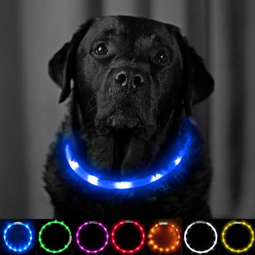 PetSol Extrahelles LED-Hundehalsband Blau – wiederaufladbar mit USB – für alle Hundegrößen (20cm bis 70cm) statisch oder blinkend – wetterfest, leicht zu reinigen, Sichtbarkeit, Garantie von PetSol