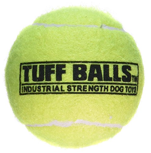 PetSport USA Tuff Balls Tennisball Hundespielzeug von PetSport