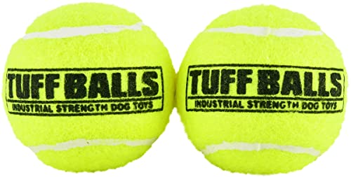 PetSport Mini-Tuff-Ball – Tennisbälle für kleine Hunde, ideal für Langeweile und Aggressive Kauer, interaktiv, Zertifiziert ungiftig, verschleißt Nicht die Zähne – 3,8 cm (2 Stück) von PetSport