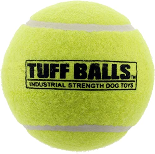 PetSport Großer Tuff Ball 10,2 cm von PetSport