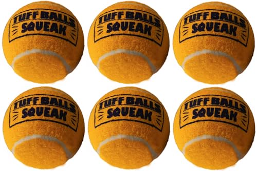 PetSport Quietschendes Tennisball-Hundespielzeug, 6 Stück, klein (4,6 cm), Junior Tuff Quietschbälle für Hunde, haustiersicher, langlebig, ungiftiger Filz und Gummi, zum Apportieren, Starten, Chuck von PetSport