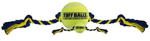 PetSport Tuff Ball in Industriestärke, hochwertige Baumwolle, für kleine, kleine und mittelgroße Hunde, ideal zum Apportieren und Zerren und Spielen (3,8 cm Mini-Tuff Ball, 20,3 cm Seilzieher) von PetSport